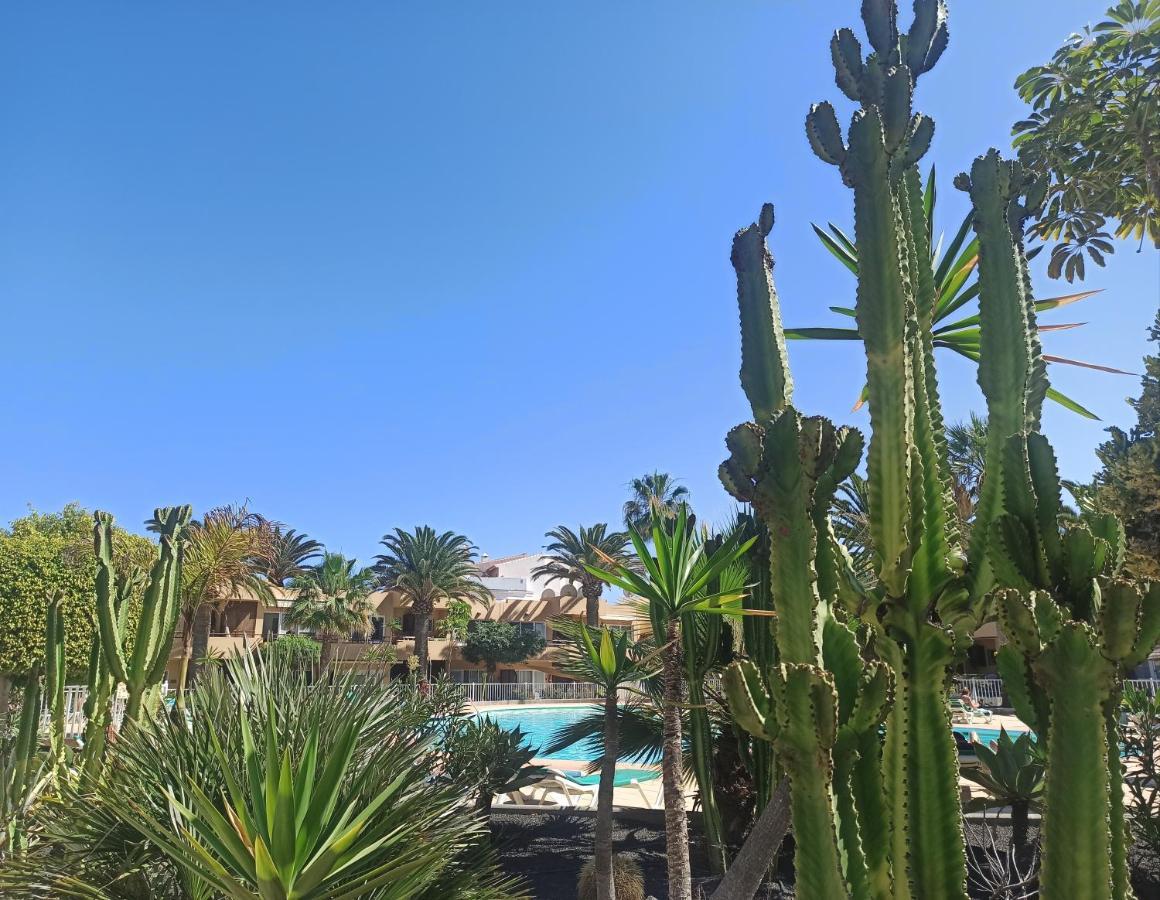 Apartamento Elrincondesara Corralejo Exterior foto